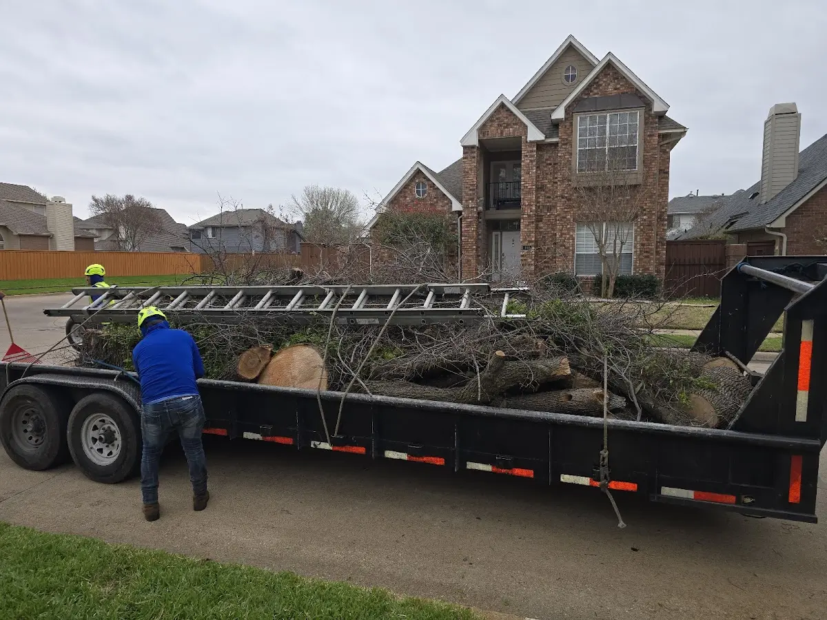 Expert Tree Fertilization with proper safety equipment in Trimble